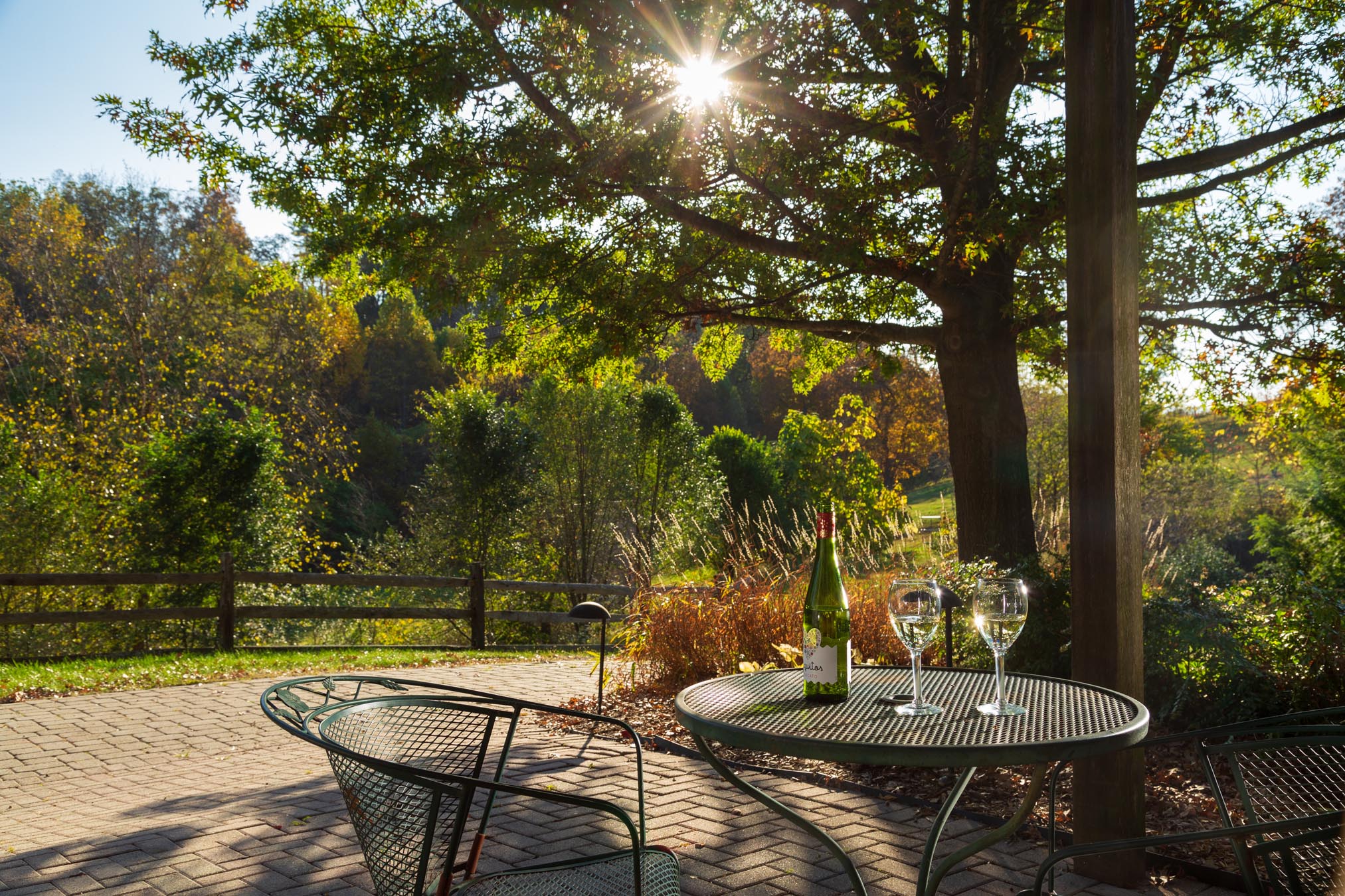 Outdoor view of table and tree